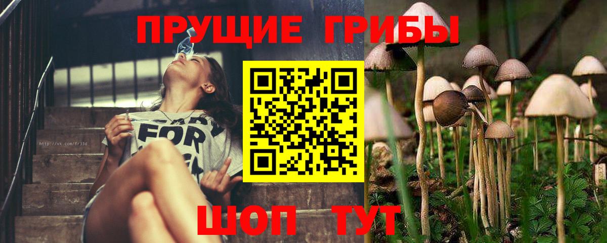 Псилоцибиновые грибы Psilocybine cubensis  Вход с VPN  Кинель 